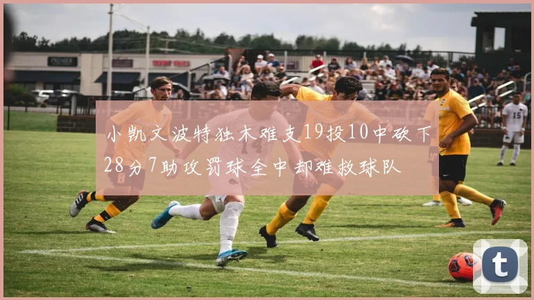 小凯文波特独木难支19投10中砍下28分7助攻罚球全中却难救球队