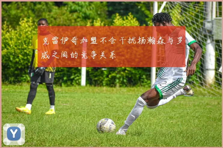 克雷伊奇加盟不会干扰杨瀚森与罗威之间的竞争关系